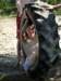 2011HWK 387_small.jpg